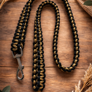 Laisse noire et or pour chien de moyenne taille